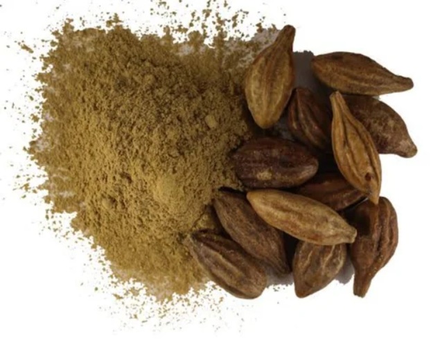Harad Extract (Terminalia Chebula) - Application: Used In Traditional Medicine For Various Purposes