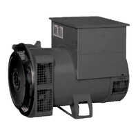 DG Set Alternator