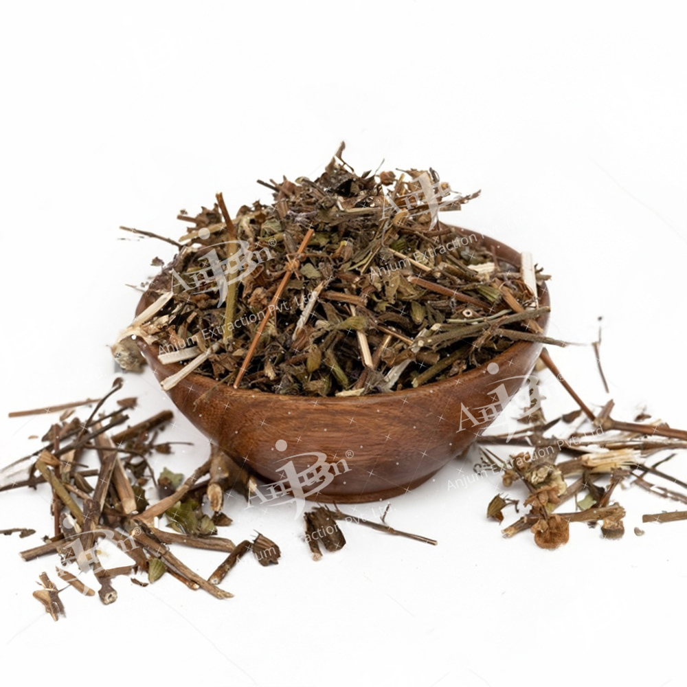 Convolvulus pluricaulis (Shankhpushpi) Extract