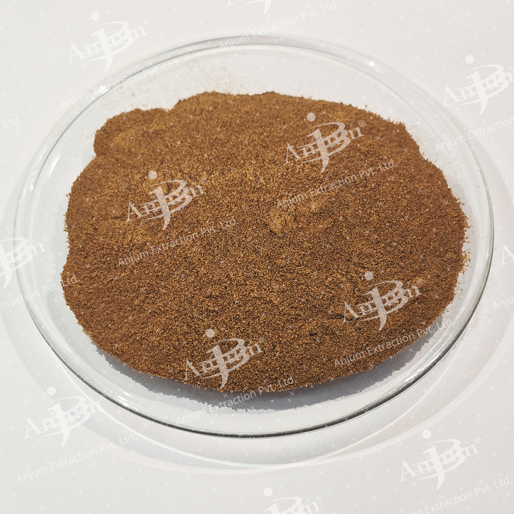 Anacyclus pyrethrum (Akarkara) Extract