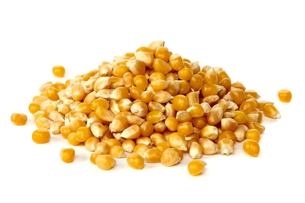 Dry Maize