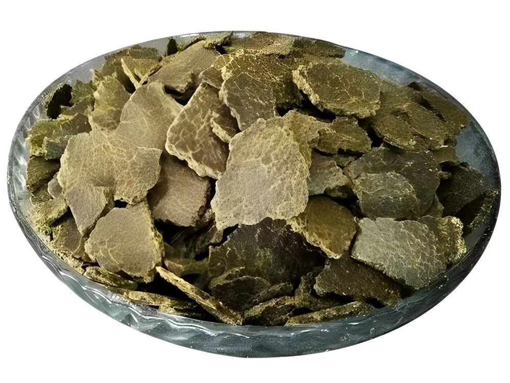 Cotton Seeds Oil Cake