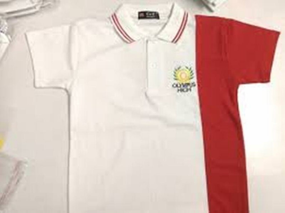 Mens Collar Neck Plain T-Shirts