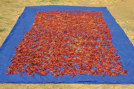 Fast And Effective Drying Usning Techpaulin