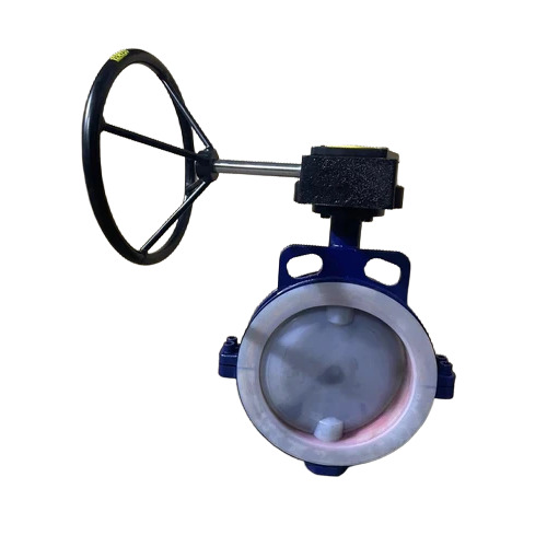 Ptfe Sleeve Butterfly Valve - Port Size: 2 Inch