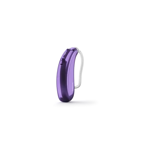 Sky L30-Pr Behind The Ear Hearing Aids - Attributes: Premium Quality