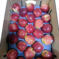 18 Kg 100 Count MT Erin Queen Apple