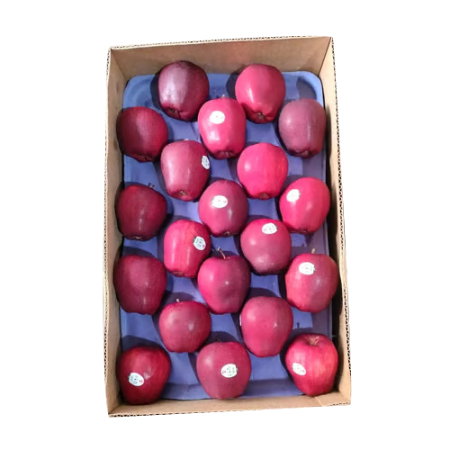 20 kg 150 Count Chelan RD Apple