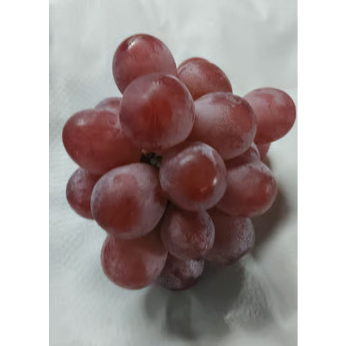 6.5 Kg Red Globe Frutanza Grapes - Cultivation Type: Organic