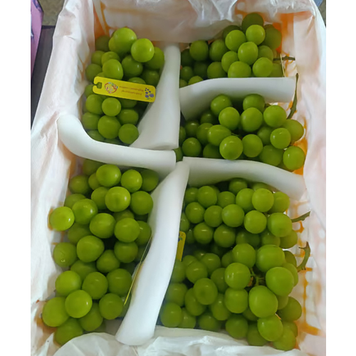 5Kg Shine Loose Grapes - Color: Green