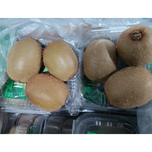 Green Premium 54 Pc 18 Punnet Zespri Kiwi - Color: Brown Skin