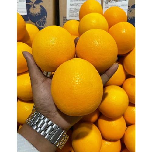 15 Kg 72 Count Orange - Cultivation Type: Organic