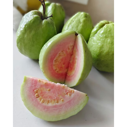 15 Kg 5 To 6 Pieces Premium Pink Guava - Color: Green