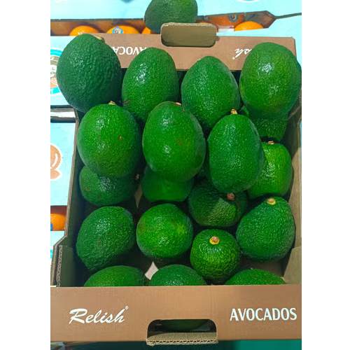 18 Count 4 Kg Tanzania Avacado - Color: Green