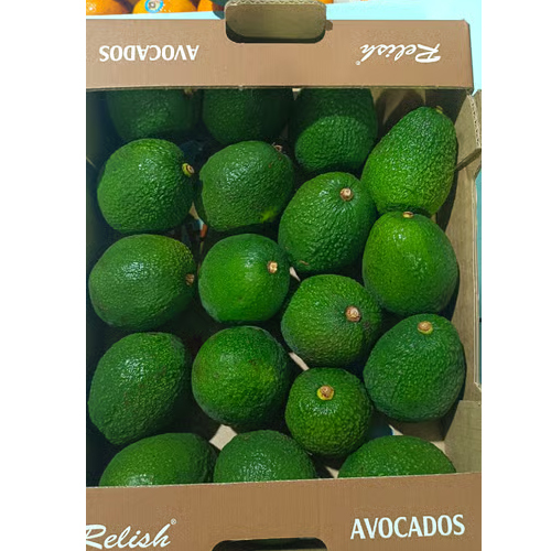 14 Count 4 Kg Tanzania Avacado - Color: Green