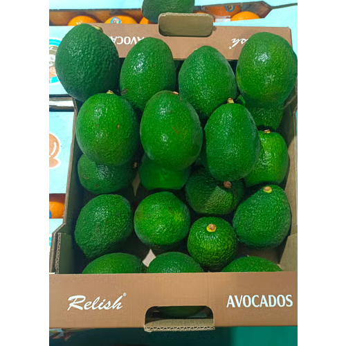 4 Kg 16 Count Fresh Relish Tanzania Avacado - Color: Green