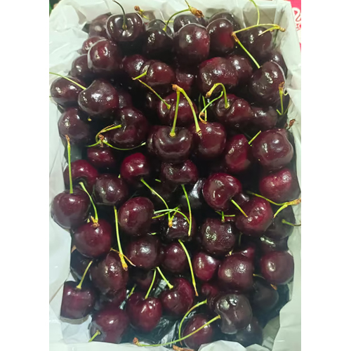 2.5 Kg 9.5 R Gold Cherry - Cultivation Type: Organic