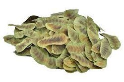 Senna Pods - Age Group: Suitable For All