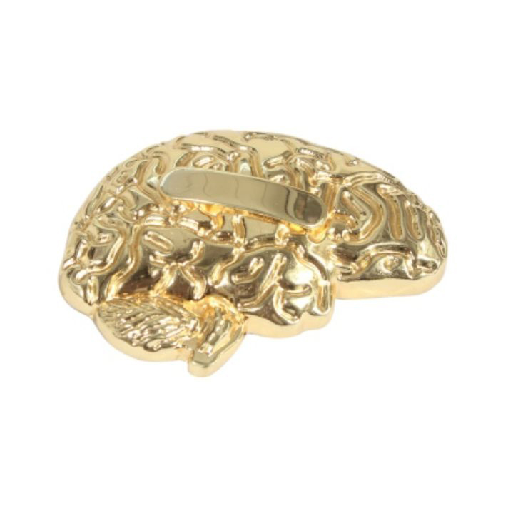 Brain Shape 3D Paper Weight - Feature: Corrosion Resistance