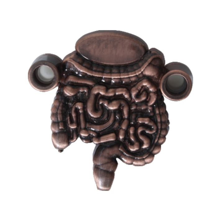 Intestine Shape 3D Paper Weight - Feature: Corrosion Resistance