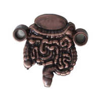 Intestine Shape 3D Paper Weight