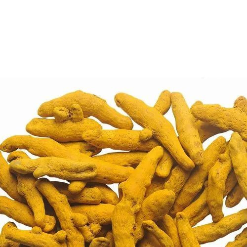 Turmeric Finger - Color: Yellow
