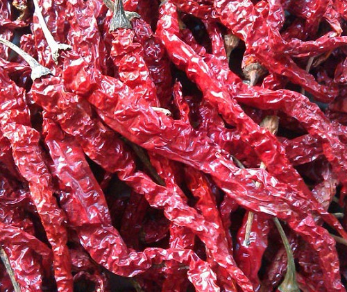 Dry Red Chilli