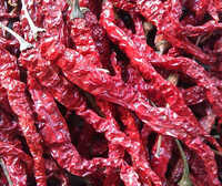 Dry Red Chilli