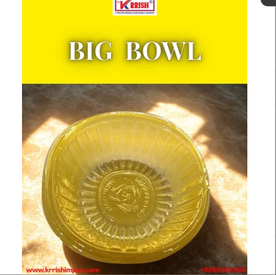 PET BIG BOWL