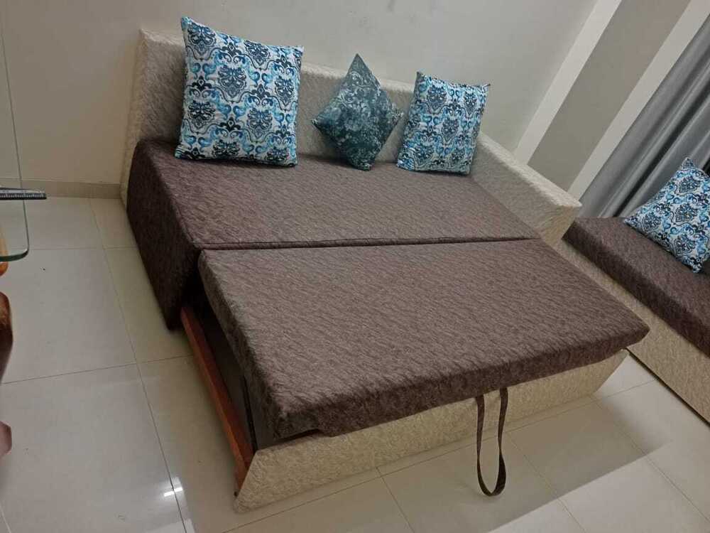 Sofa Cum Bed - Color: Multiple