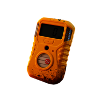 Portable Gas Detector