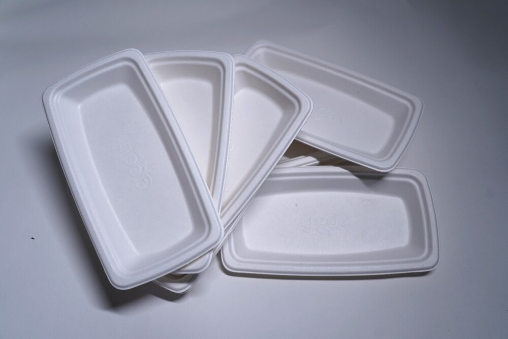 Rectangle Biodegradable Sugarcane Bagasse Plate - Color: As Per Availability