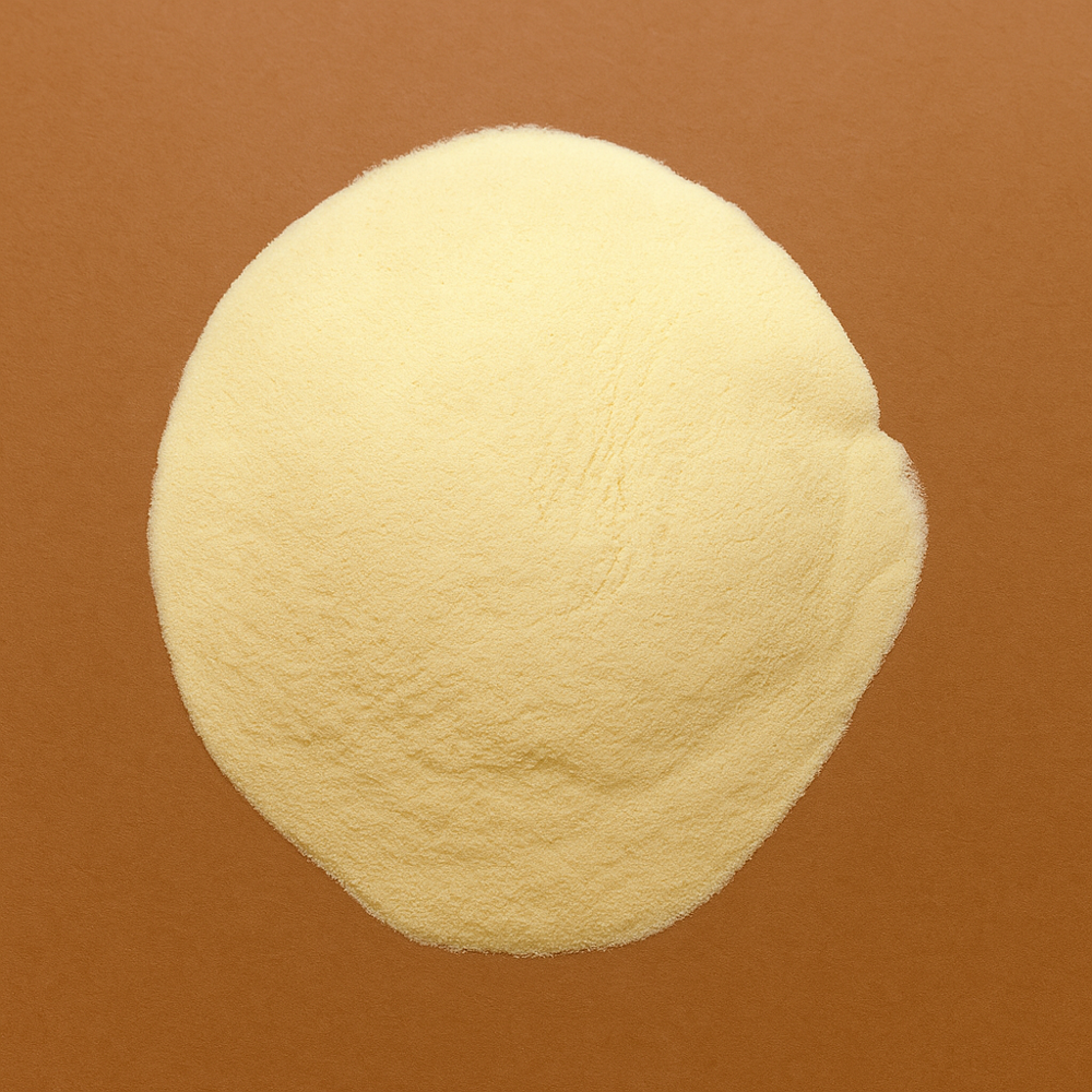 Aspergillus Bacterial Xylanase - Application: Bread