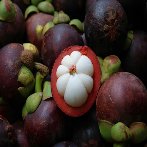 Fresh Mangosteen - Color: Natural Color