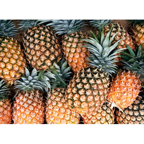 Fresh Pineapple