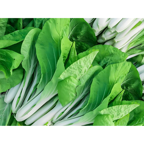 Fresh Bok Choy - Cultivation Type: Organic