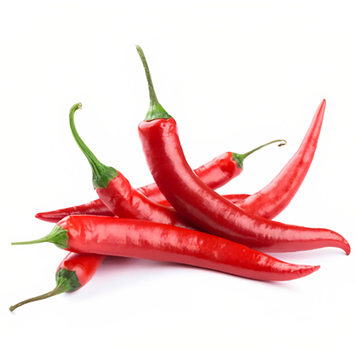 Fresh Red Chilli - Cultivation Type: Organic