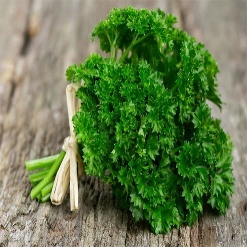 Organic Herb Parsley - Moisture (%): 5% - 10%