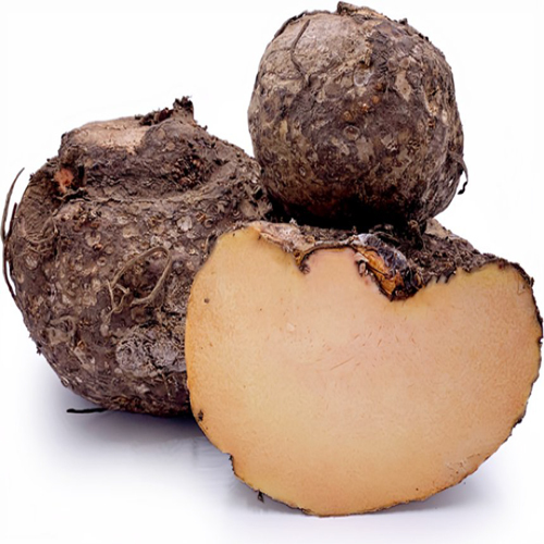 Fresh Jimikand - Cultivation Type: Organic