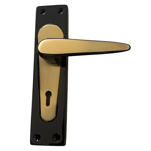 Iron Mortise Handles