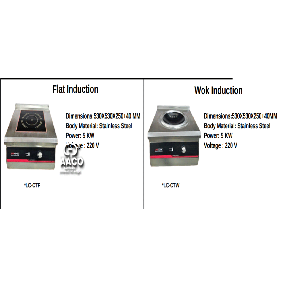 Induction Batch Fryer