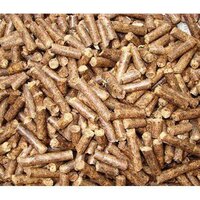 Biomass Briquettes