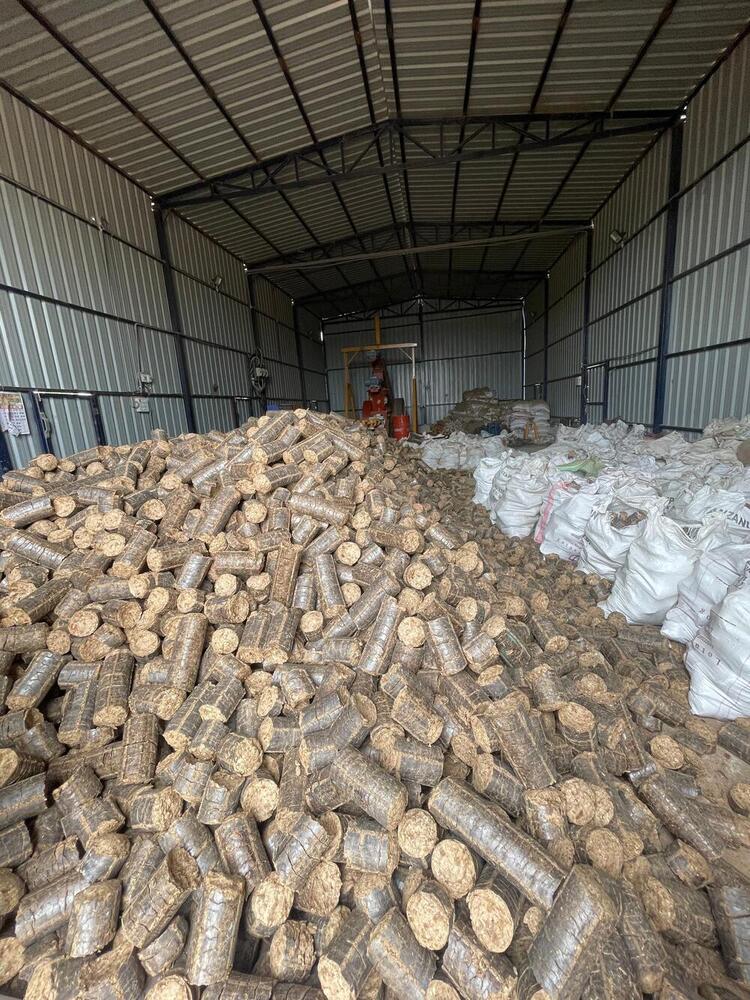 Biomass Briquettes - Color: Natural