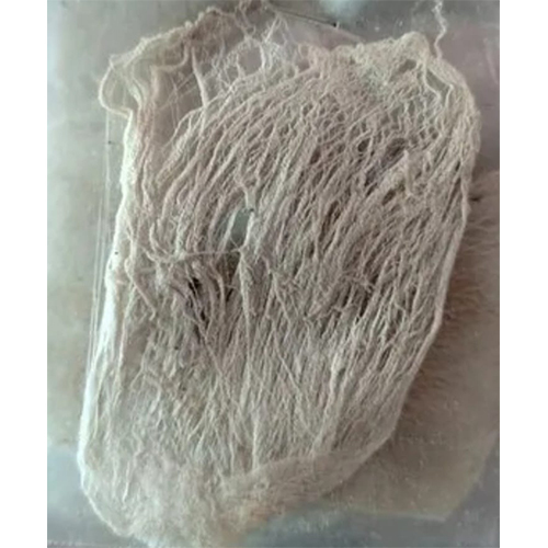 BANANA STEM WICKS VAZHAITHANDU THIRI