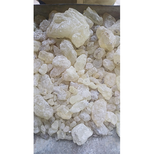 KUNGILIYAM GUM DAMAR