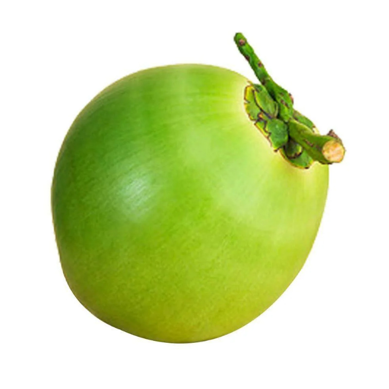 Tender Coconut - Color: Green