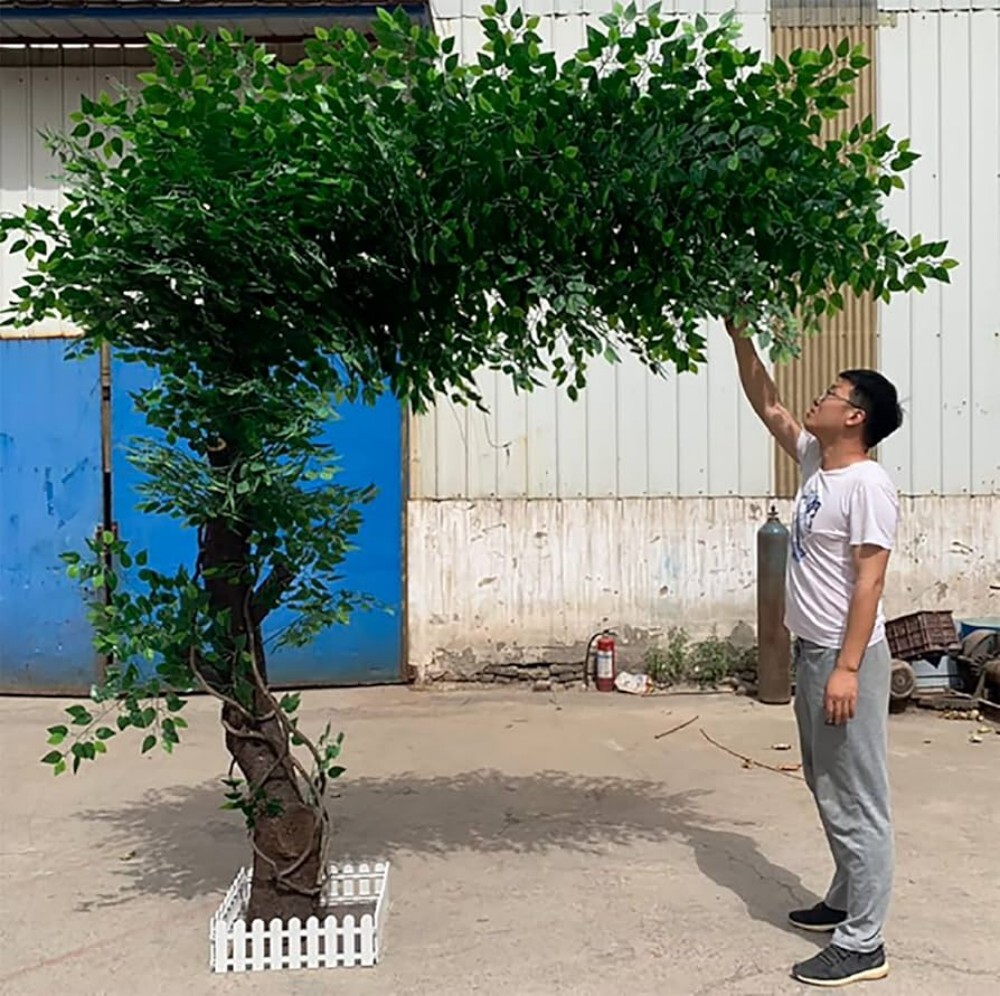 Frp Material Ficus Tree - Dimension (L*w*h): Customised Meter (M)
