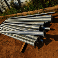 Octagonal Street Light Pole - Color: Silver