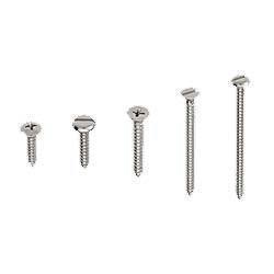 Ss Self Tapping Screw - Color: Silver