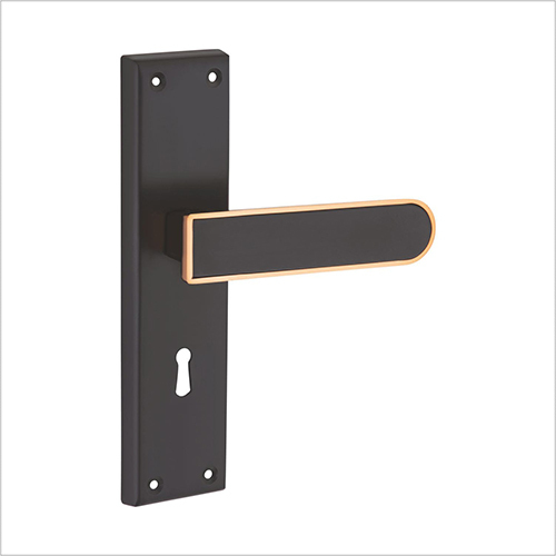 Stainless Steel Mortise Handles